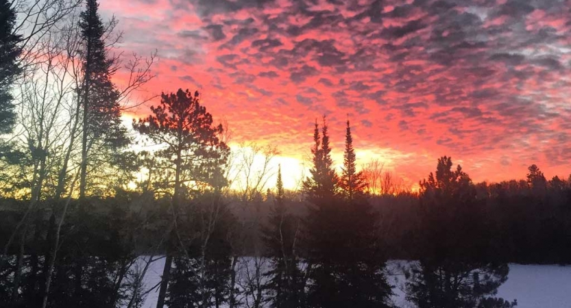 The sky appears in gentle colors above trees and snow